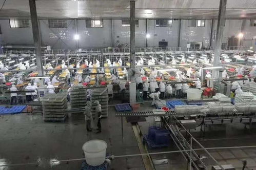 湖北食品廠季節性員工招聘啟事 共創美味，同繪未來